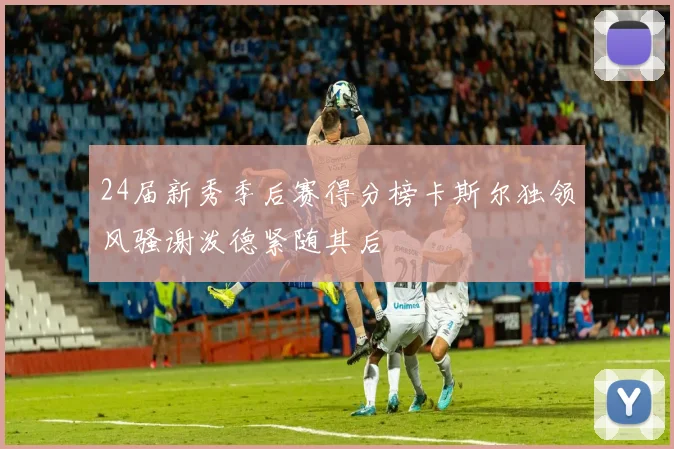 24届新秀季后赛得分榜卡斯尔独领风骚谢泼德紧随其后