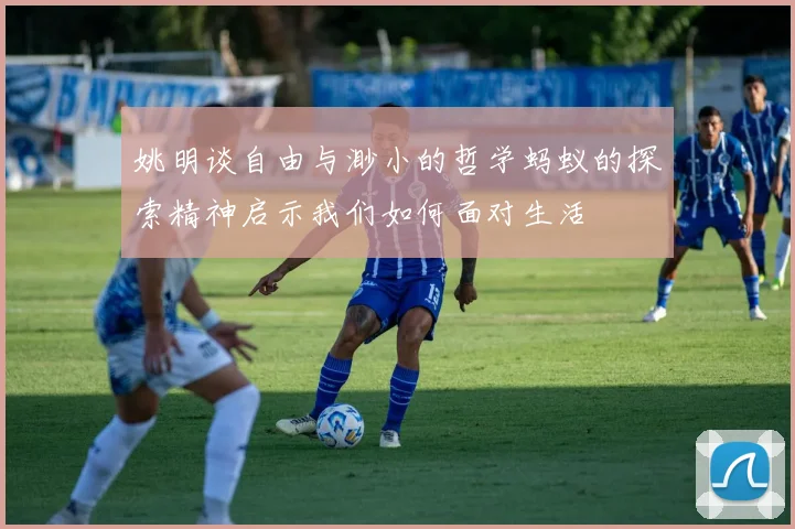 姚明谈自由与渺小的哲学蚂蚁的探索精神启示我们如何面对生活