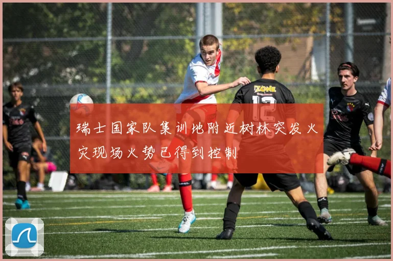 瑞士国家队集训地附近树林突发火灾现场火势已得到控制
